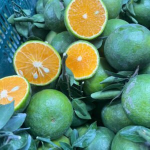 Sản phẩm bán chạy