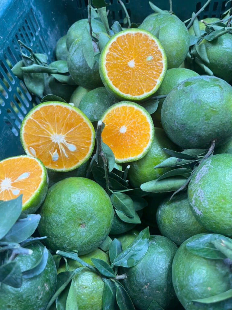 Sản phẩm bán chạy