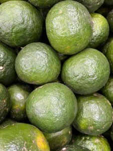 Vựa cam Thành dô vựa cam sài gòn vựa cam HCM Vựa cam Hồ Chí Minh cam sành miền tây6342665983098 e4d4b8da0c355bcf7fc0b31355c0ad7f Trang Chủ Vựa Cam Thành Đô