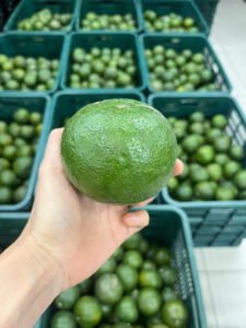 Vựa cam Thành dô vựa cam sài gòn vựa cam HCM Vựa cam Hồ Chí Minh cam sành miền tây6342666002736 4a8e7828b1a0e5ab64a3449c97f1ec52 1 Trang Chủ Vựa Cam Thành Đô