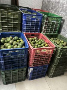 Vựa cam Thành dô vựa cam sài gòn vựa cam HCM Vựa cam Hồ Chí Minh cam sành miền tây6342670638724 f0b00a4adb4ce9fed89f7f2e65235c9a Trang Chủ Vựa Cam Thành Đô