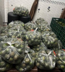 Vựa cam Thành dô vựa cam sài gòn vựa cam HCM Vựa cam Hồ Chí Minh6332375267120 06c1d87c4b62705acfeb154e93410af8 1 Trang Chủ Vựa Cam Thành Đô