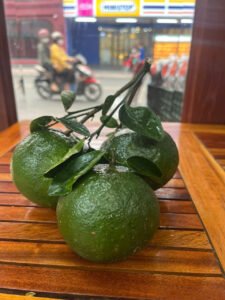 Vựa cam Thành dô vựa cam sài gòn vựa cam HCM Vựa cam Hồ Chí Minh6336198874750 be882ce887551ace8d823ad567e83f5d Trang Chủ Vựa Cam Thành Đô